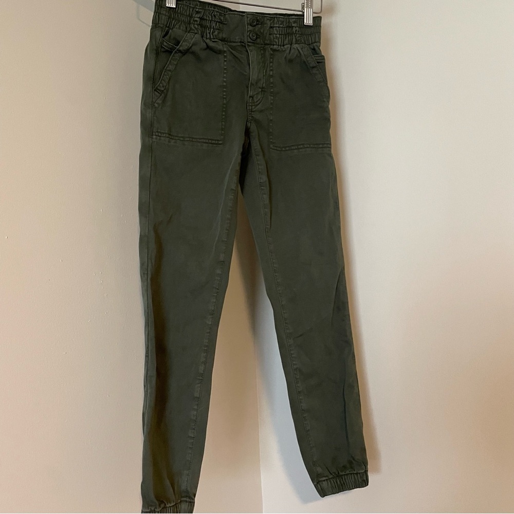 American Eagle Outfitters Dark Green Cargo Pants Size 0